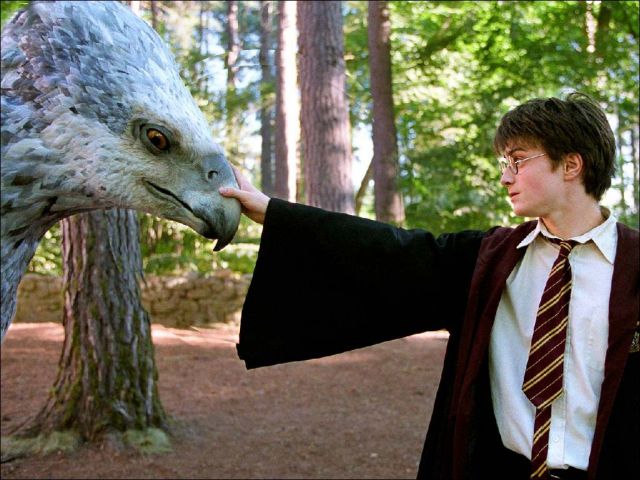 harry et buck2.jpg